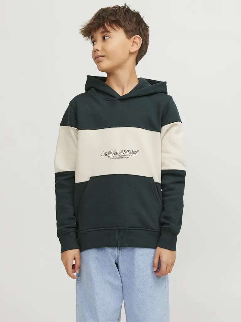 JORLAKEWOOD BLOCK SWEAT HOOD BF JNR