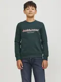 JORLAKEWOOD SWEAT CREW NECK BF JNR