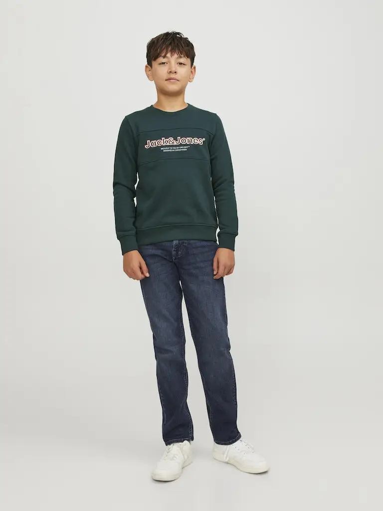 JORLAKEWOOD SWEAT CREW NECK BF JNR