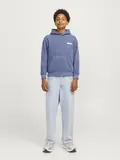 JORVERMONT WASH SWEAT HOOD JNR