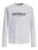 JORVESTERBRO NEWTON BRNDG TEE LS BF JNR