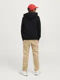 JORVESTERBRO NEWTON SWEATZIP HOOD BF JNR