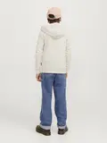 JORVESTERBRO NEWTON SWEATZIP HOOD BF JNR