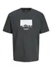 JORVESTERBRO PICTURE TEE SS CREW NECK SN