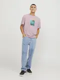 JORVESTERBRO PICTURE TEE SS CREW NECK SN