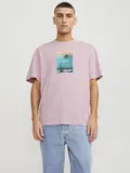 JORVESTERBRO PICTURE TEE SS CREW NECK SN