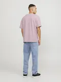 JORVESTERBRO PICTURE TEE SS CREW NECK SN