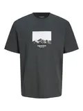 JORVESTERBRO PICTURE TEE SS CREW NECK SN