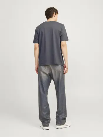 JORVESTERBRO PICTURE TEE SS CREW NECK SN