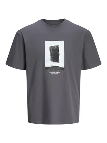 JORVESTERBRO PICTURE TEE SS CREW NECK SN