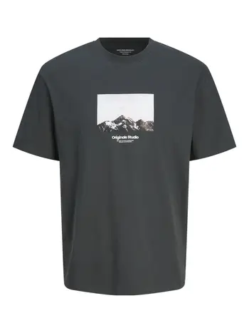 JORVESTERBRO PICTURE TEE SS CREW NECK SN