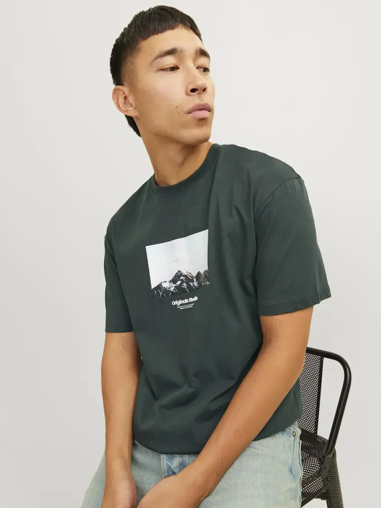 JORVESTERBRO PICTURE TEE SS CREW NECK SN