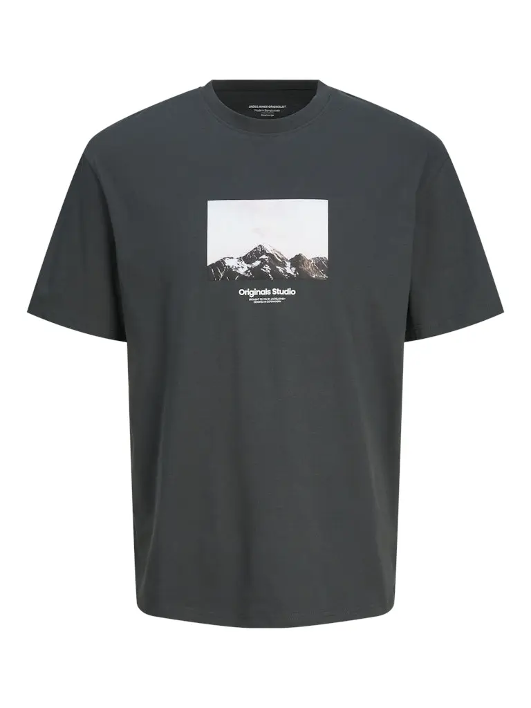 JORVESTERBRO PICTURE TEE SS CREW NECK SN