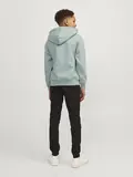 JORVESTERBRO SWEAT HOOD NOOS JNR