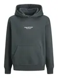 JORVESTERBRO SWEAT HOOD NOOS JNR