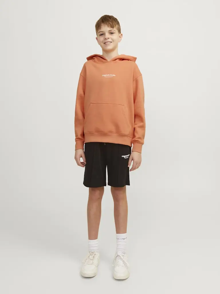 JORVESTERBRO SWEAT HOOD NOOS JNR