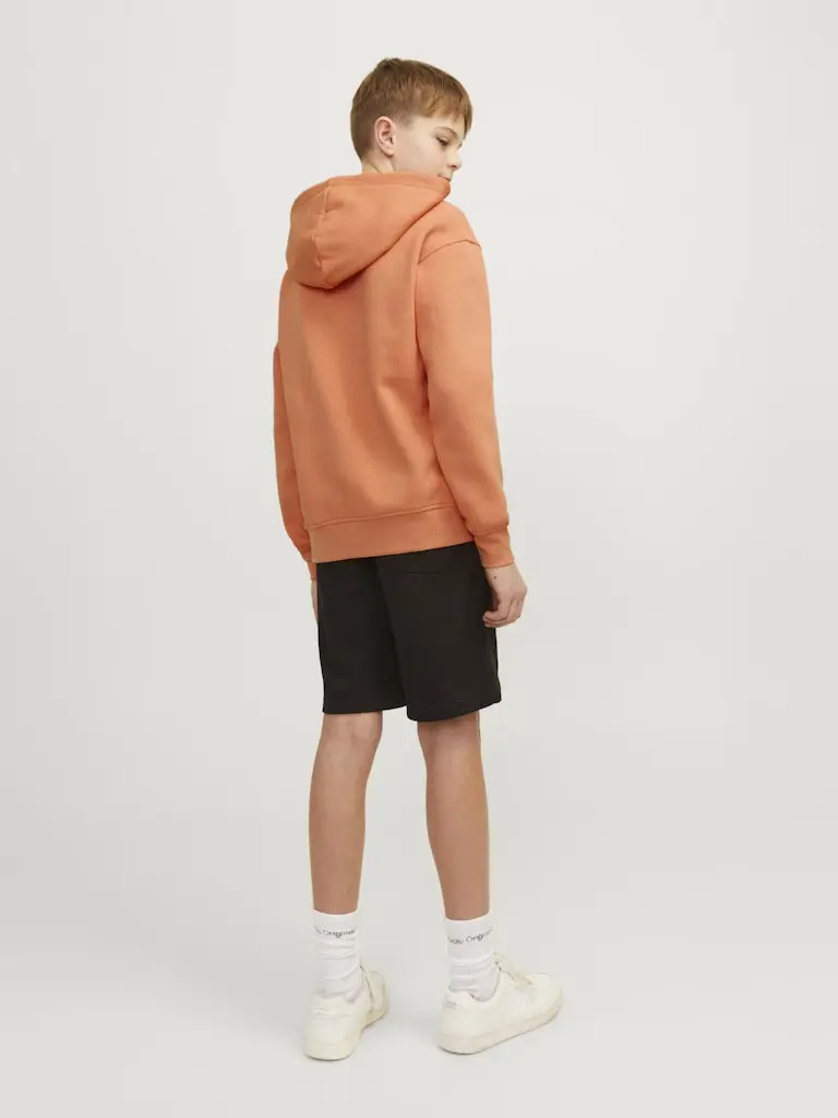 JORVESTERBRO SWEAT HOOD NOOS JNR