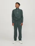 JORVESTERBRO SWEAT QUARTER ZIP NOOS JNR