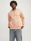 JORVESTERBRO SWEAT ZIP HOOD NOOS