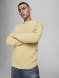 JPRBLUANTON KNIT CREW NECK