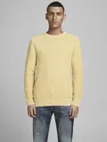 JPRBLUANTON KNIT CREW NECK