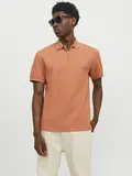 JPRCCJOHNNY HALF ZIP SS POLO SN