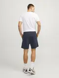 JPSTGORDON AIR SWEAT SHORTS