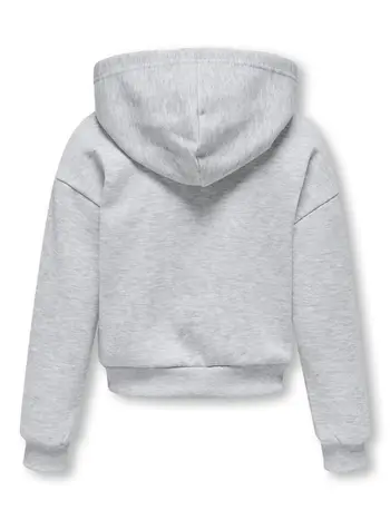 KOGFAVE L/S ZIP HOOD SWT