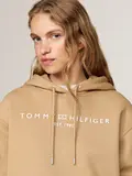 MDRN REG CORP LOGO HOODIE