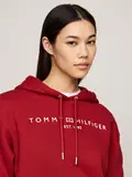 MDRN REG CORP LOGO HOODIE