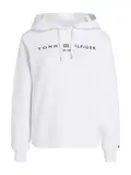 MDRN REG CORP LOGO HOODIE