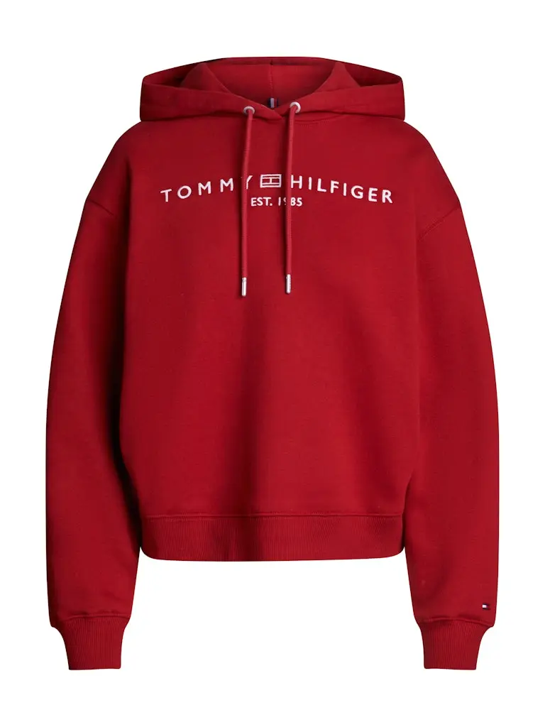 MDRN REG CORP LOGO HOODIE