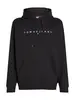 TJM REG LINEAR LOGO HOODIE EXT