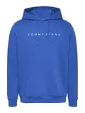 TJM REG LINEAR LOGO HOODIE EXT