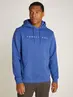 TJM REG LINEAR LOGO HOODIE EXT