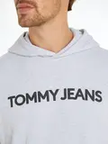 TJM REG NEW CLASSIC L HOODIE EXT