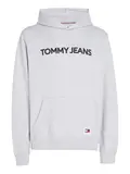 TJM REG NEW CLASSIC L HOODIE EXT