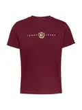 TJW REG CREST LINEAR TEE EXT