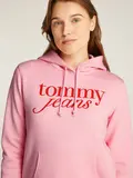 TJW REG ESS LOGO HOODIE EXT