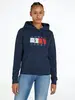 TJW REG TOMMY FLAG HOODIE EXT