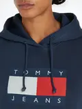 TJW REG TOMMY FLAG HOODIE EXT