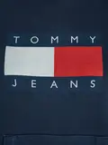 TJW REG TOMMY FLAG HOODIE EXT