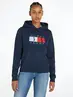 TJW REG TOMMY FLAG HOODIE EXT